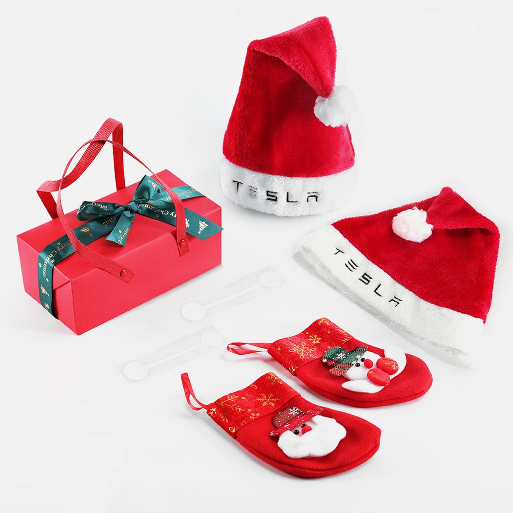 Christmas gift for Tesla