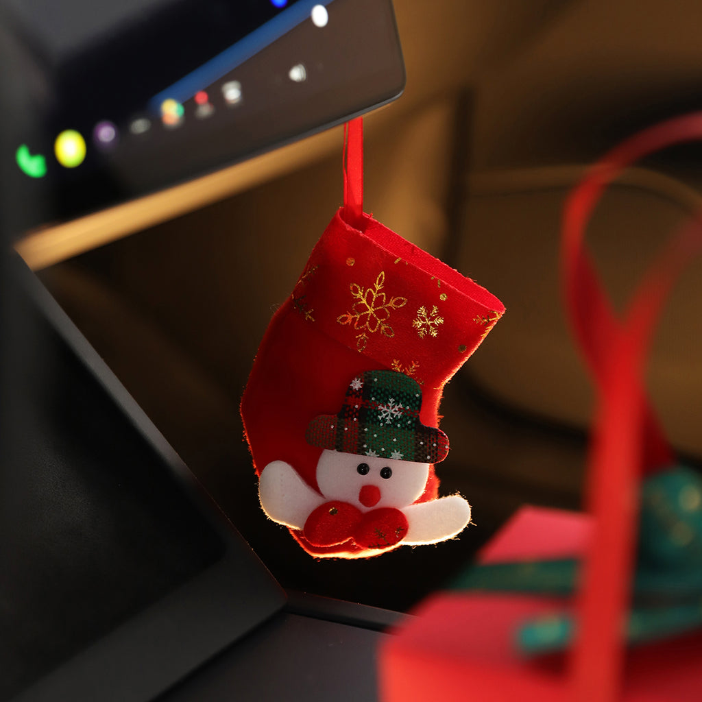 Christmas decoration for tesla