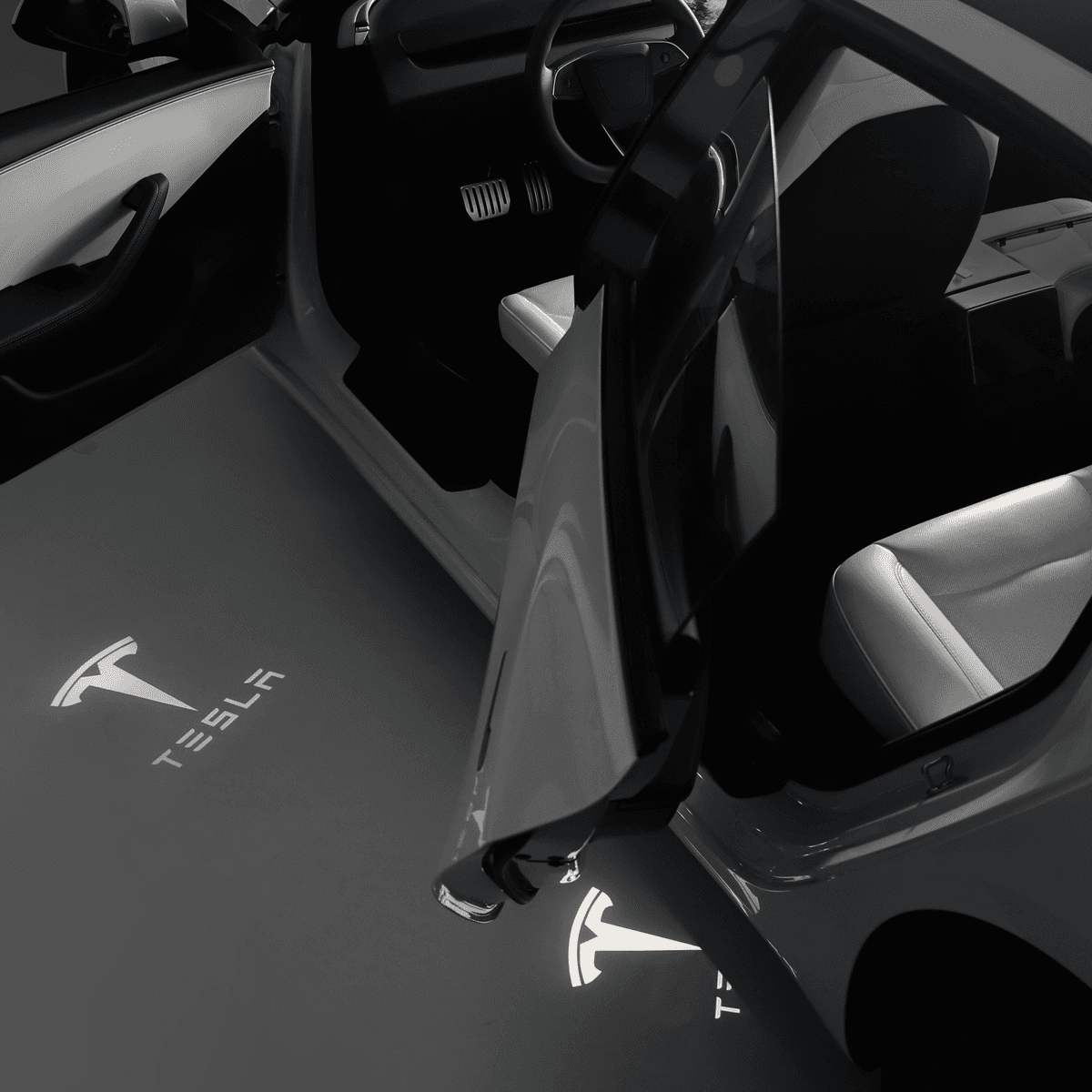 Tesla Model 3 Y Door Light